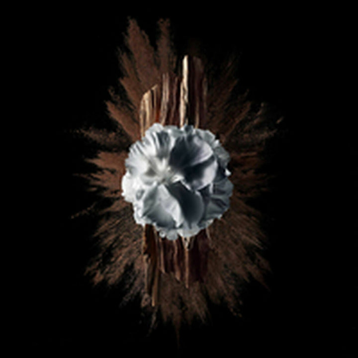 V4HBA43BAF822A621889D919D3E077064D9R5397791P6